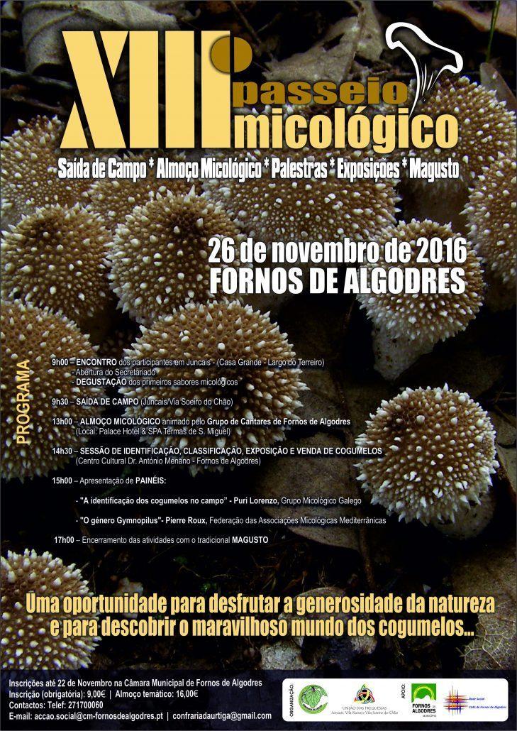 cartaz-micologico