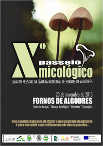 Cartaz do X Passeio Micológico realizado em Fornos de Algodres a 23 de novembro de 2013