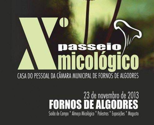 micologico 2013