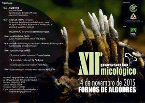 Cogumelos brancos em tronco com texto do XI Passeio Micológico, 14 de novembro de 2015, Fornos de Algodres