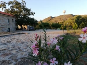 Quinta dos Carvalhais