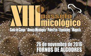 Banner Cartaz Micologico