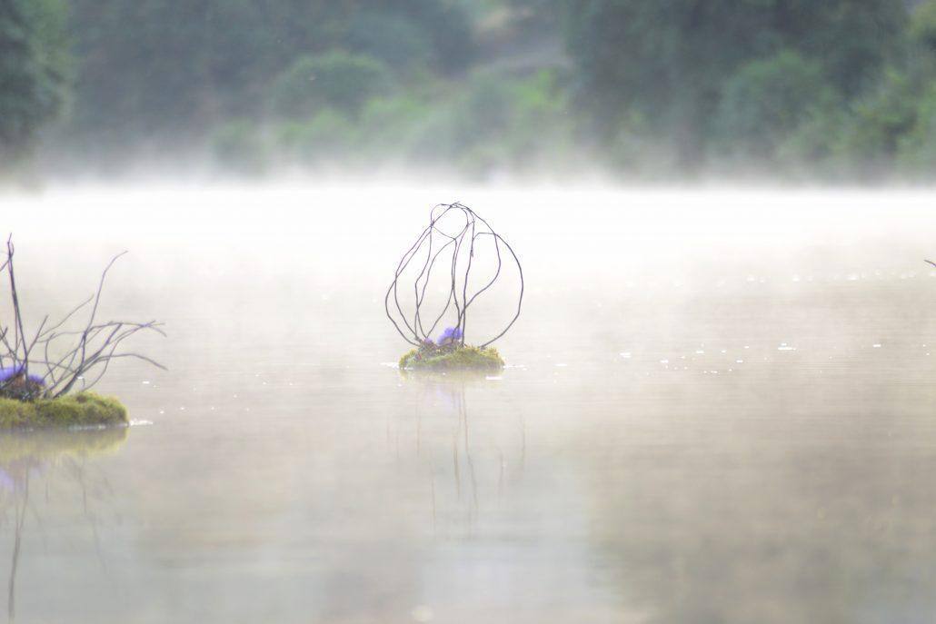 Foto Landart