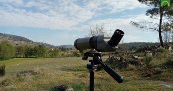 III Passeio de Observação de Aves