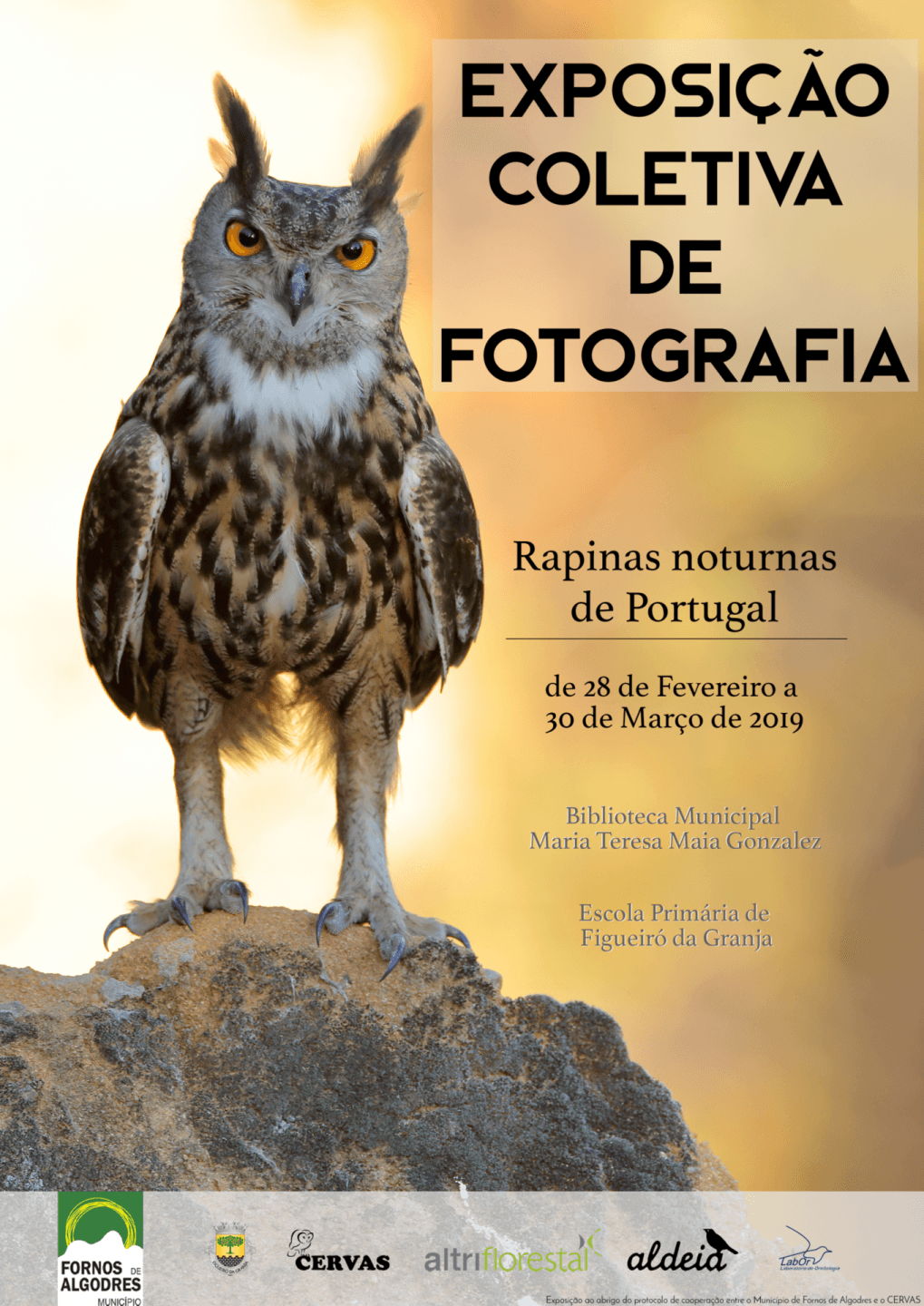 cartaz