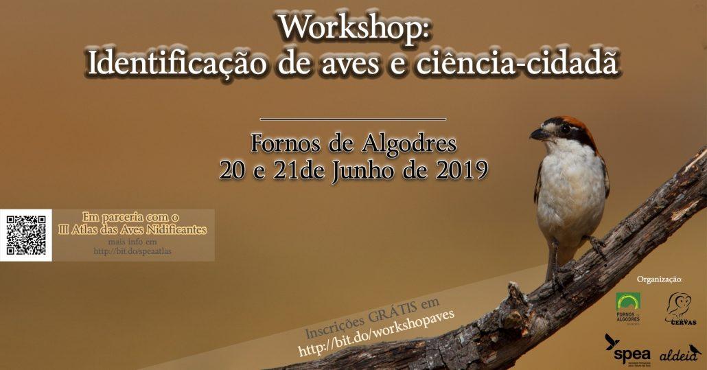 Workshop: Identificação de Aves