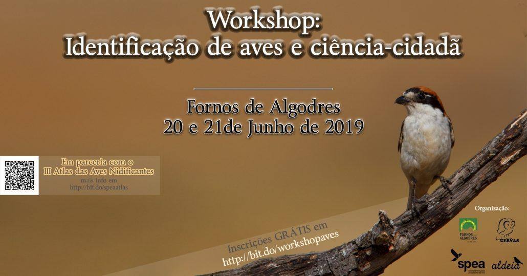 Workshop: Identificação de Aves