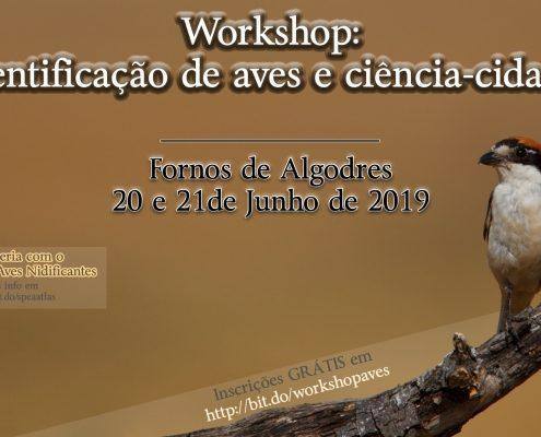 Workshop: Identificação de Aves