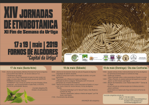 cartaz 2019 Copy