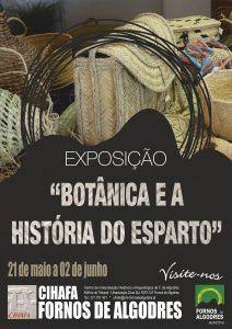 esparto