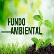 Palavra Fundo Ambiental sobre fundo com grama e planta em crescimento