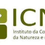 Publicitacao Horizontal 2 Publicitacao Horizontal 2