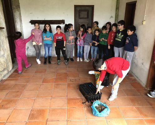 Sementeira de Bolotas nas Escolas de Fornos de Algodres