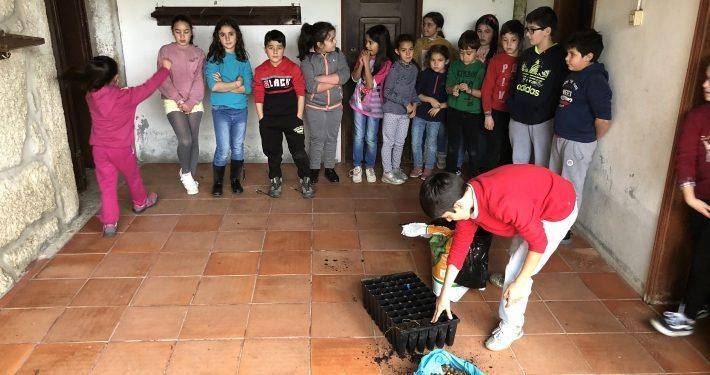 Sementeira de Bolotas nas Escolas de Fornos de Algodres