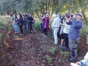 Grupo de pessoas com binóculos e telescópios num trilho de terra em floresta densa.