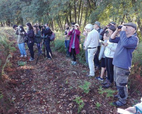 Observação de Aves - Conhecer Fornos de Algodres