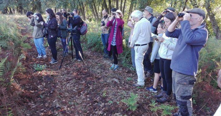 Observação de Aves - Conhecer Fornos de Algodres