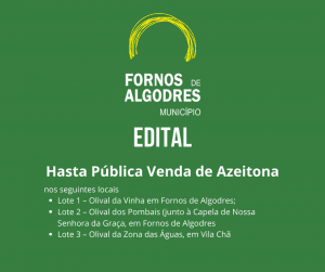 Edital de hasta pública de venda de azeitona do município de Fornos de Algodres com três lotes listados.