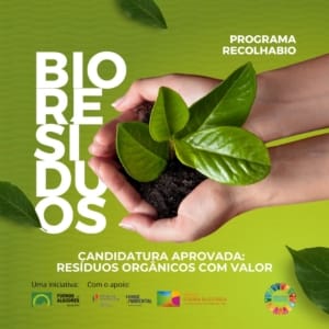 Mão segurando muda com folhas verdes e terra sobre fundo verde limão.