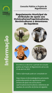 Cartaz de consulta pública sobre regulamento municipal de apoio a criadores de ovinos, caprinos, bovinos e equídeos