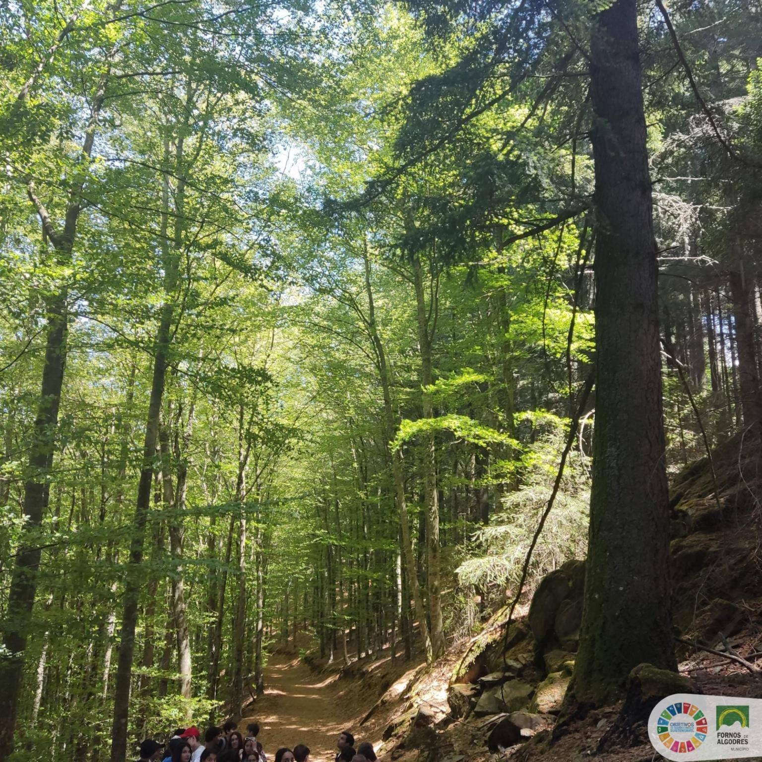 Passeio Estrela Geopark