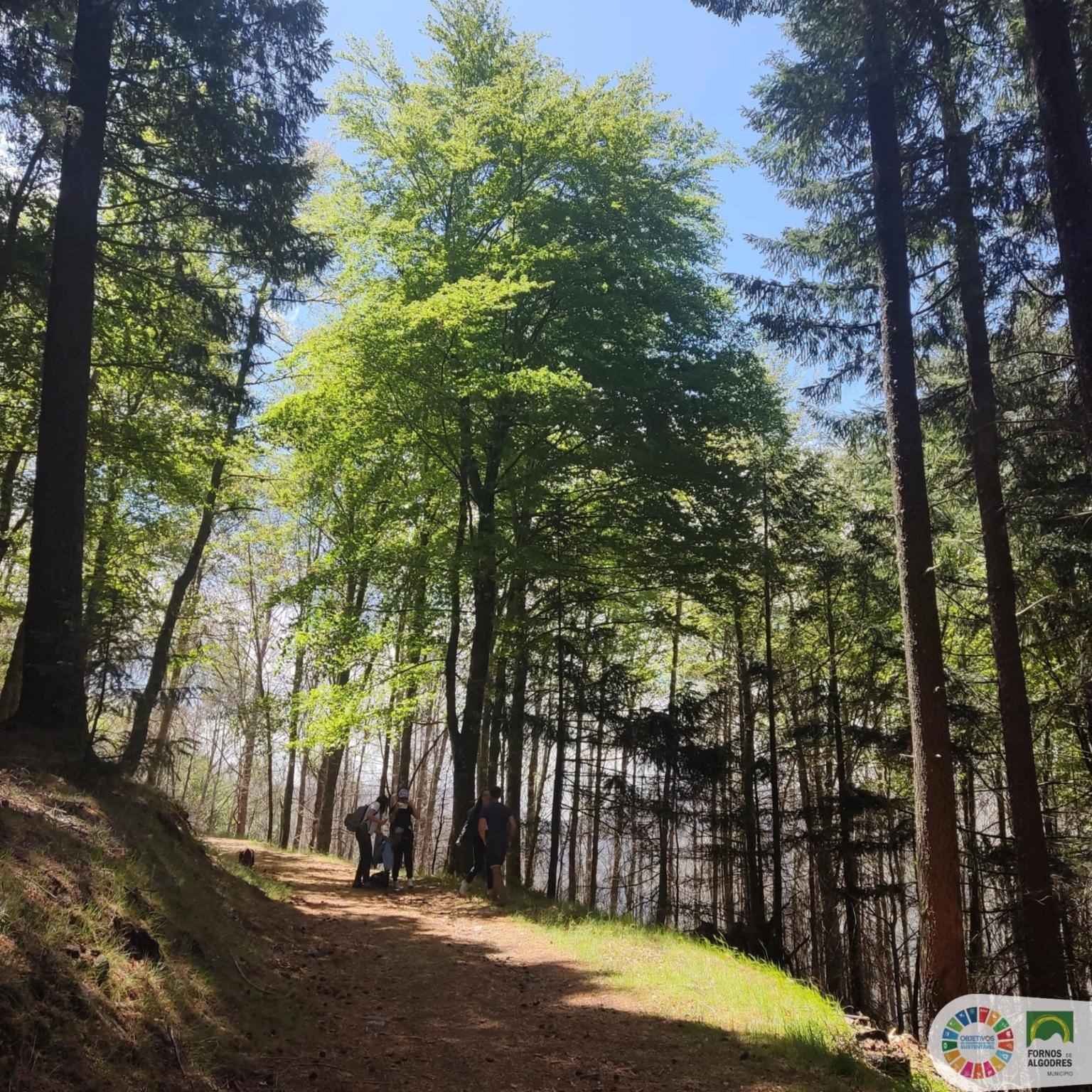 Passeio Estrela Geopark