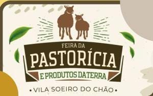 Banner Feira da Pastoricia