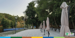 SIte Imagem de destaque 1 1