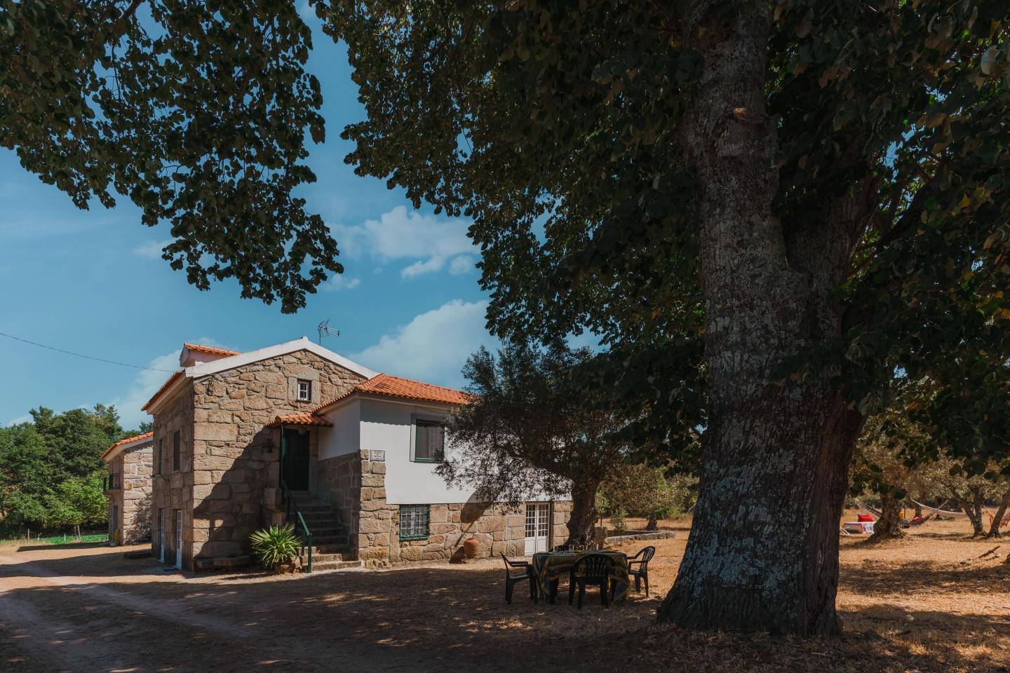 Habitação rural de pedra com pátio sombreado por árvore centenária.