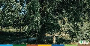 SIte Imagem de destaque