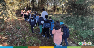 SIte Imagem de destaque 1 2
