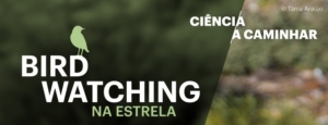 Birdwatching na Estrela banner