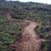 Sapadores Florestais 2
