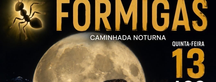 Banner Xi Rota Das Formigas..