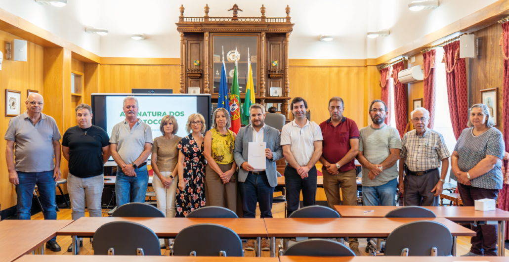 Site Imagem De Destaque
