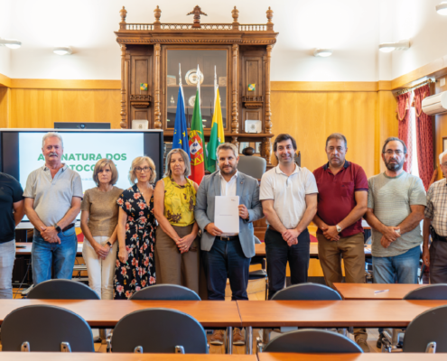 Site Imagem De Destaque